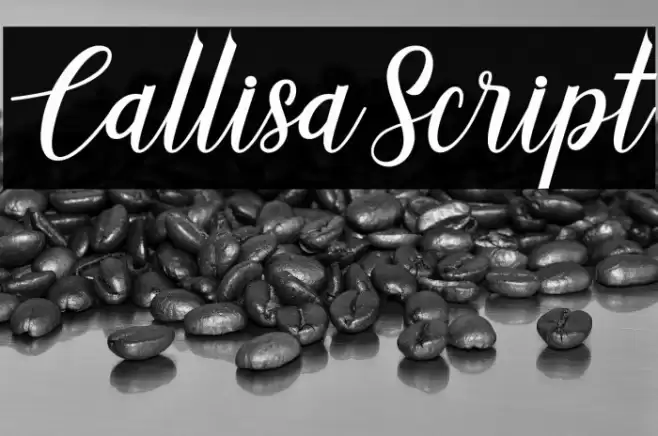 CallisaScript Font examples