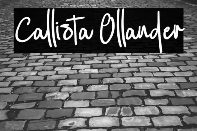 Callista Ollander Font examples