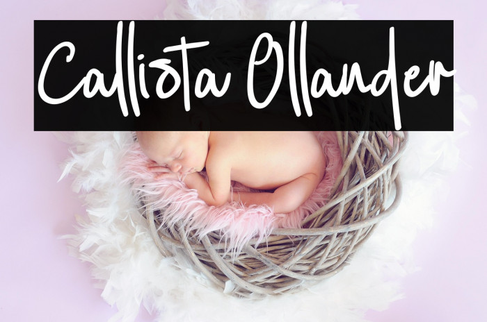 Callista Ollander Example 2