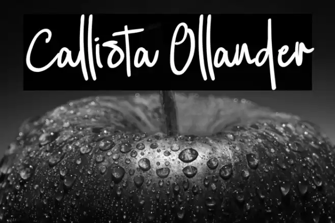 Callista Ollander Font examples