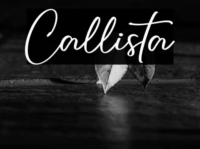 Callista Font examples