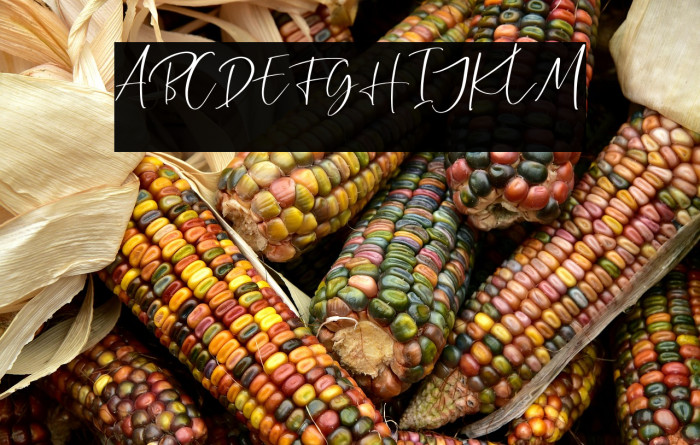 CallisteraScriptFree-Regular Example 2