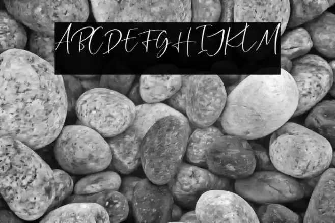 CallisteraScriptFree-Regular Font examples