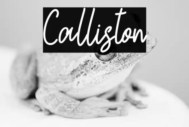 Calliston Caratteri examples