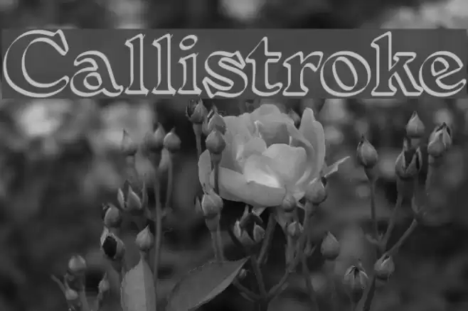 Callistroke Font examples