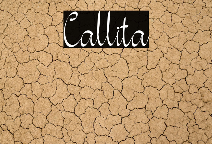 Callita Example 2