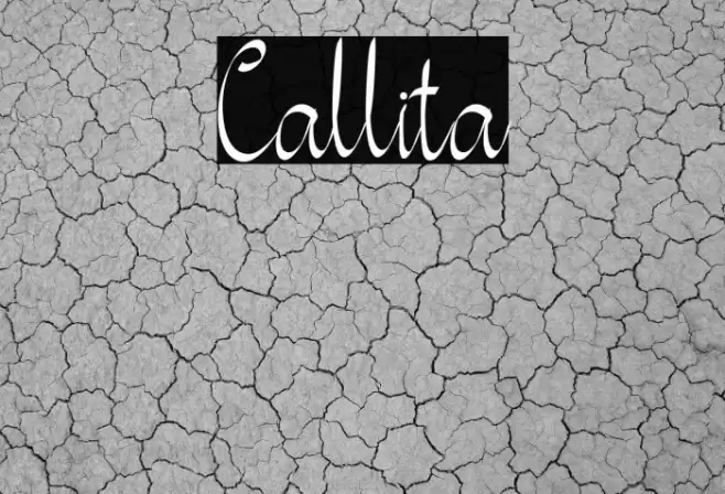 Callita Font examples