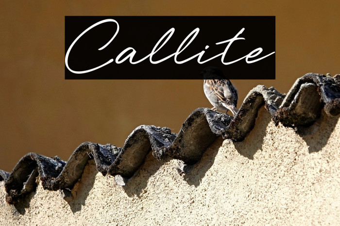 Callite Example 2