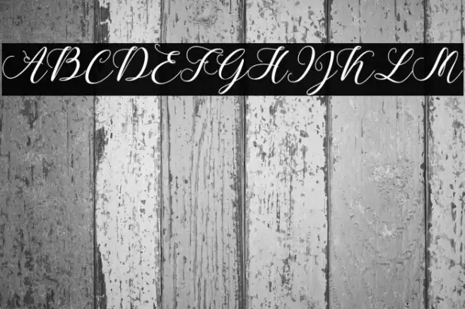 CallmeScript Font examples