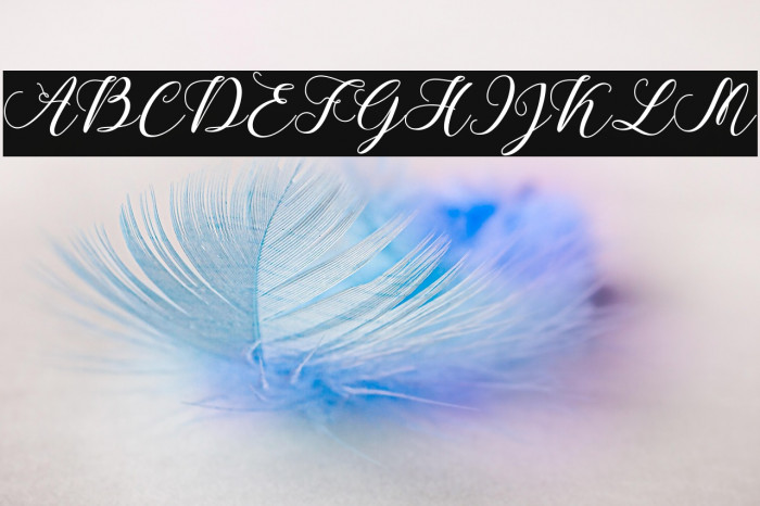 CallmeScript Example 3