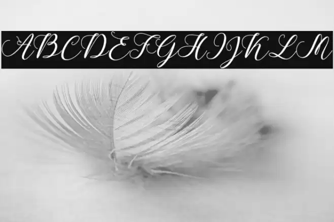 CallmeScript Font examples