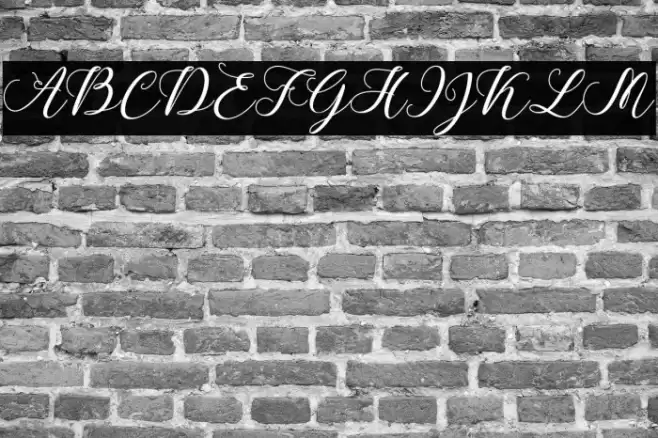 CallmeScript Font examples