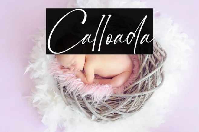 Calloada Example 1