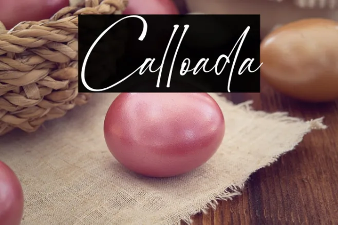 Calloada Example 2