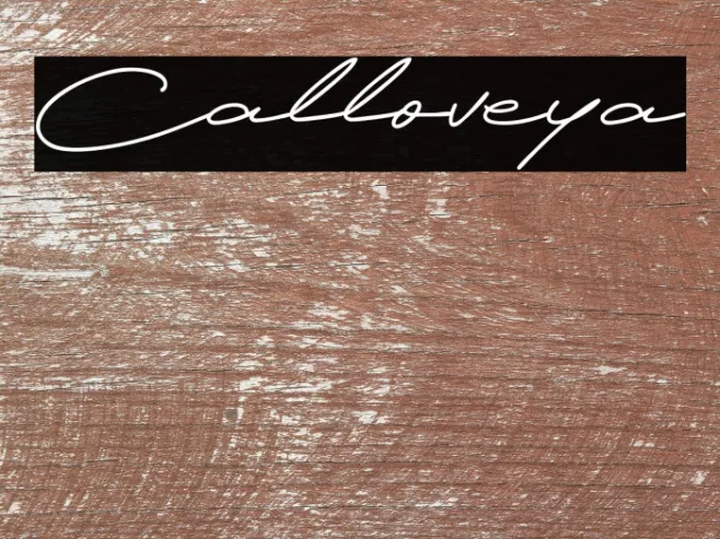Calloveya Example 1