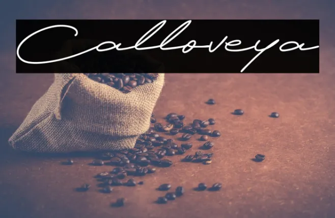 Calloveya Example 2