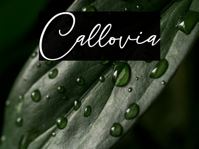Callovia Example 3