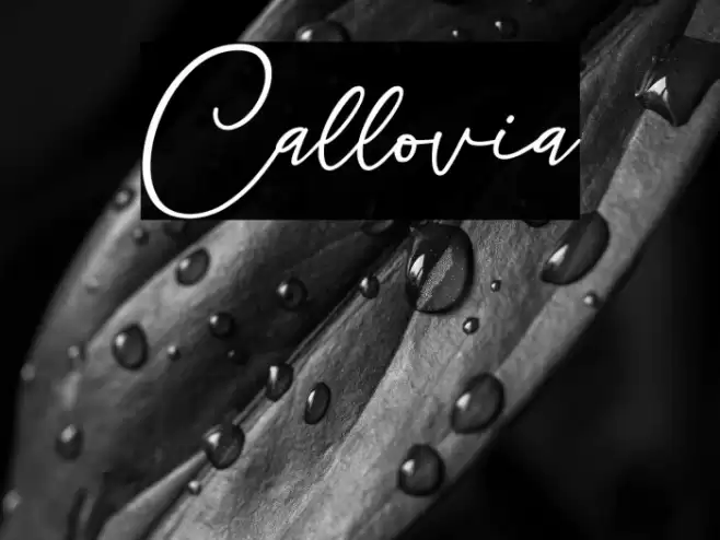 Callovia Font examples