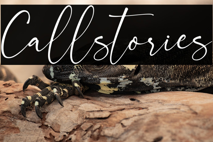 Callstories Example 2