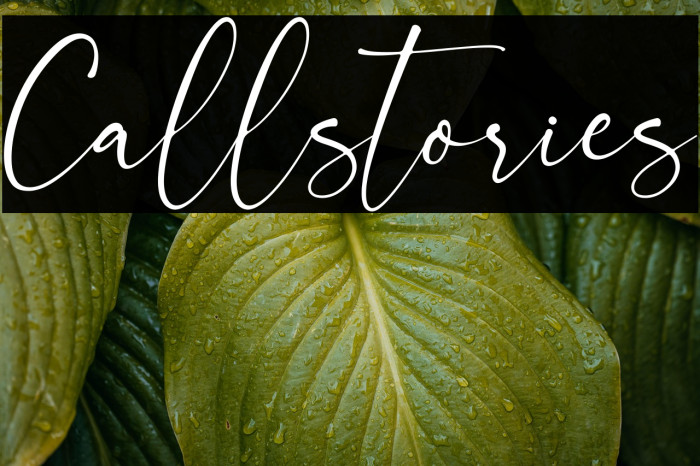 Callstories Example 3