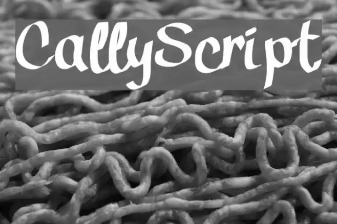 CallyScript Font examples