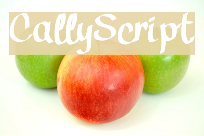 CallyScript Example 2