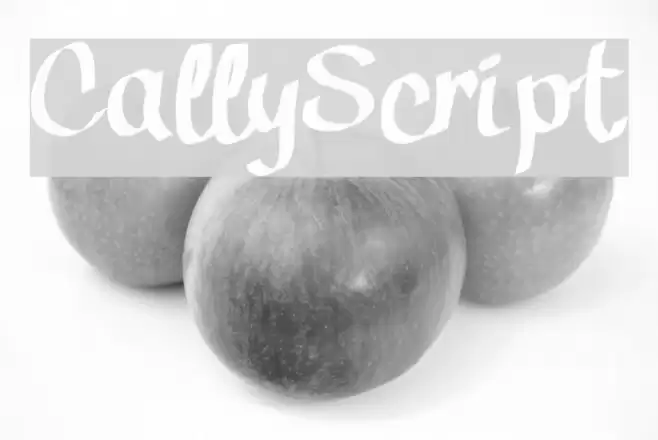 CallyScript Font examples