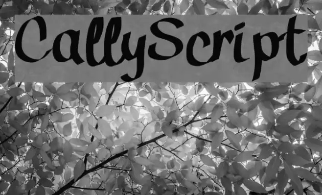CallyScript Font examples