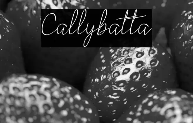 Callybatta Font examples