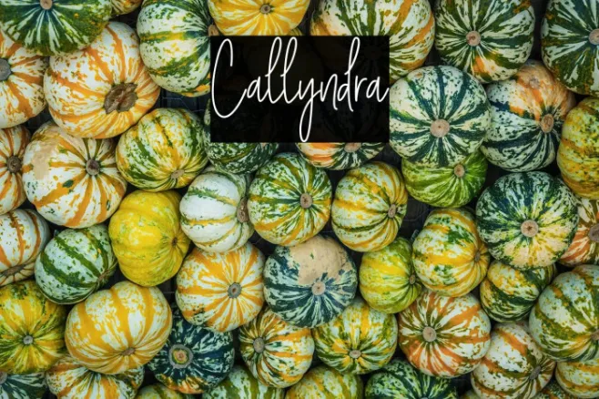 Callyndra Example 1