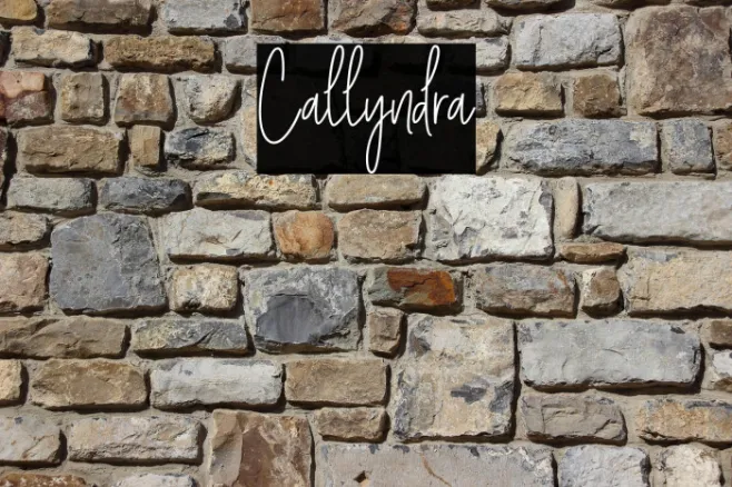 Callyndra Example 2