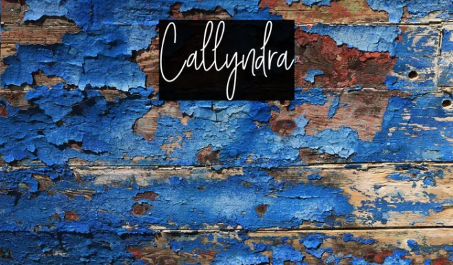 Callyndra Example 3
