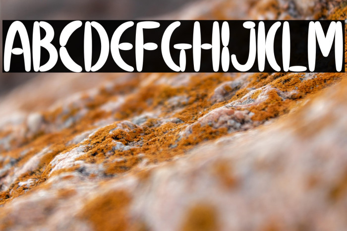 Calm Avocado Dash Example 2