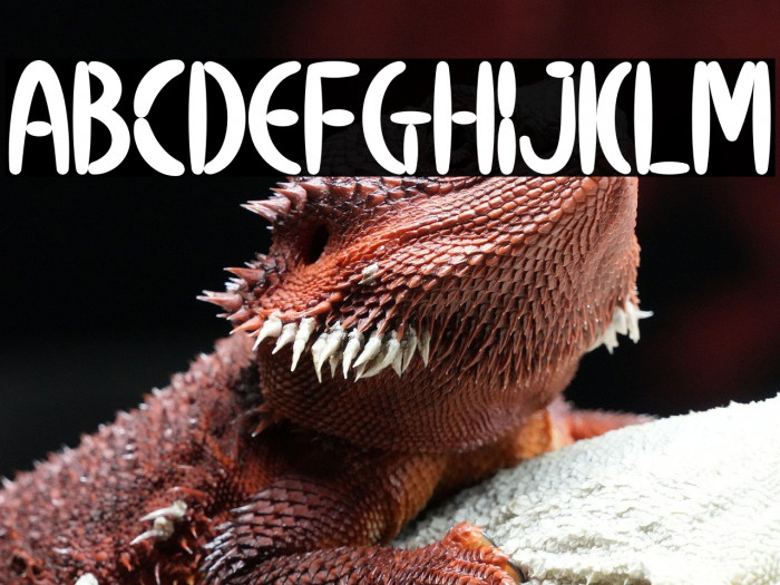 Calm Avocado Dash Example 3