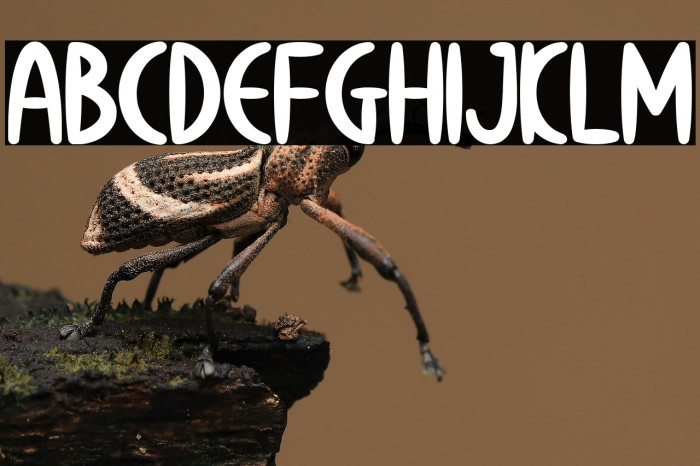 Calm Avocado Example 1