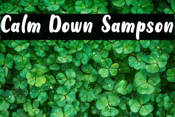 Calm Down Sampson Example 1