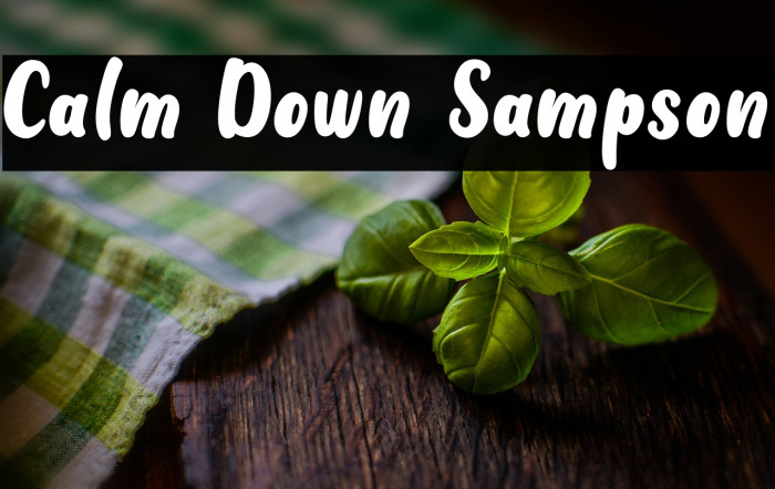 Calm Down Sampson Example 2