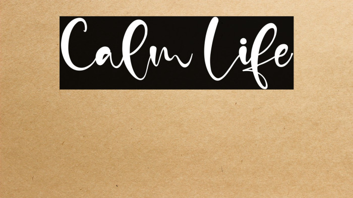 Calm Life Example 1