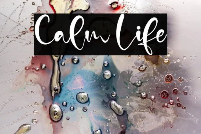 Calm Life Example 2