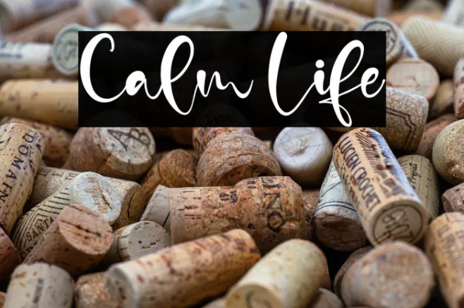 Calm Life Example 3