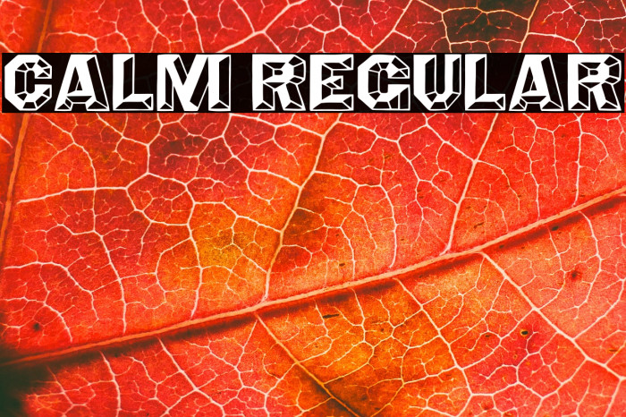 Calm Regular Example 2