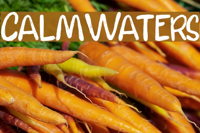 CalmWaters Font examples