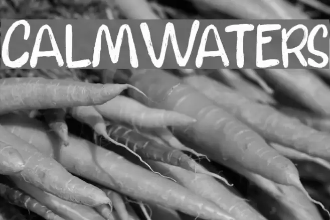 CalmWaters フォント examples