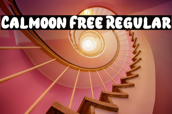 Calmoon Free Regular Example 3