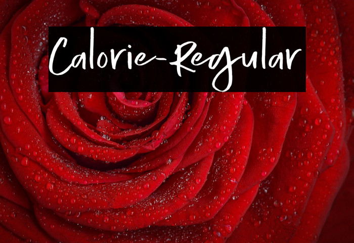 Calorie-Regular Example 1