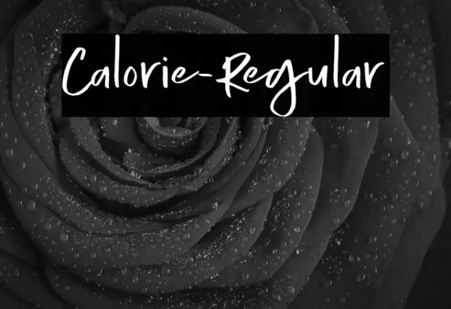 Calorie-Regular Font examples