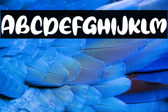 CaloseFREE Example 3