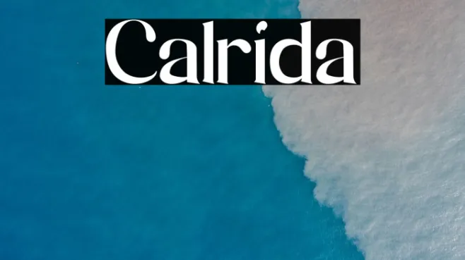 Calrida Example 1
