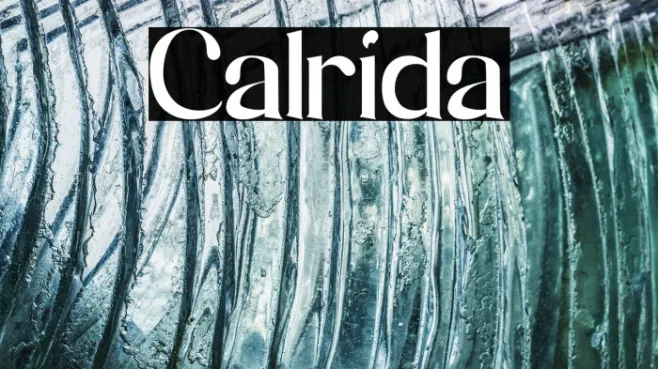 Calrida Example 2