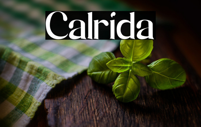 Calrida Example 3